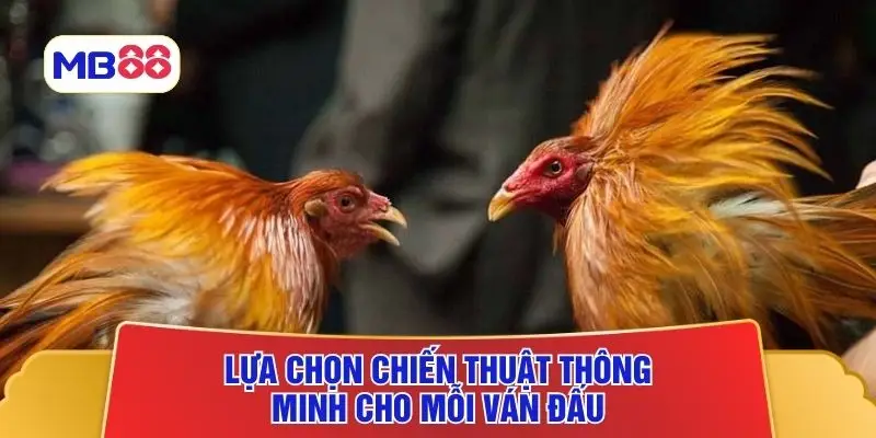 Lựa chọn chiến thuật thông minh cho mỗi ván đấu